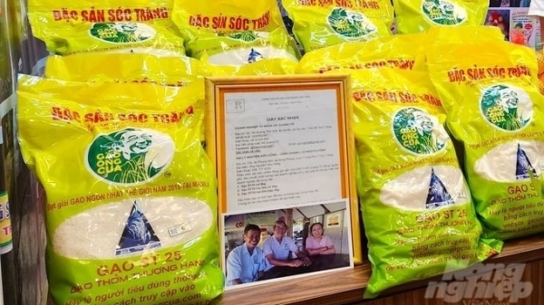 Developing a decree on the management and development of Vietnamese agricultural product brands